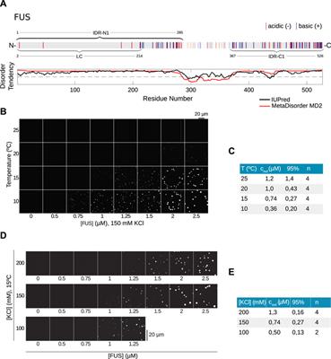 Predicting disordered regions driving phase separation of proteins under variable salt concentration